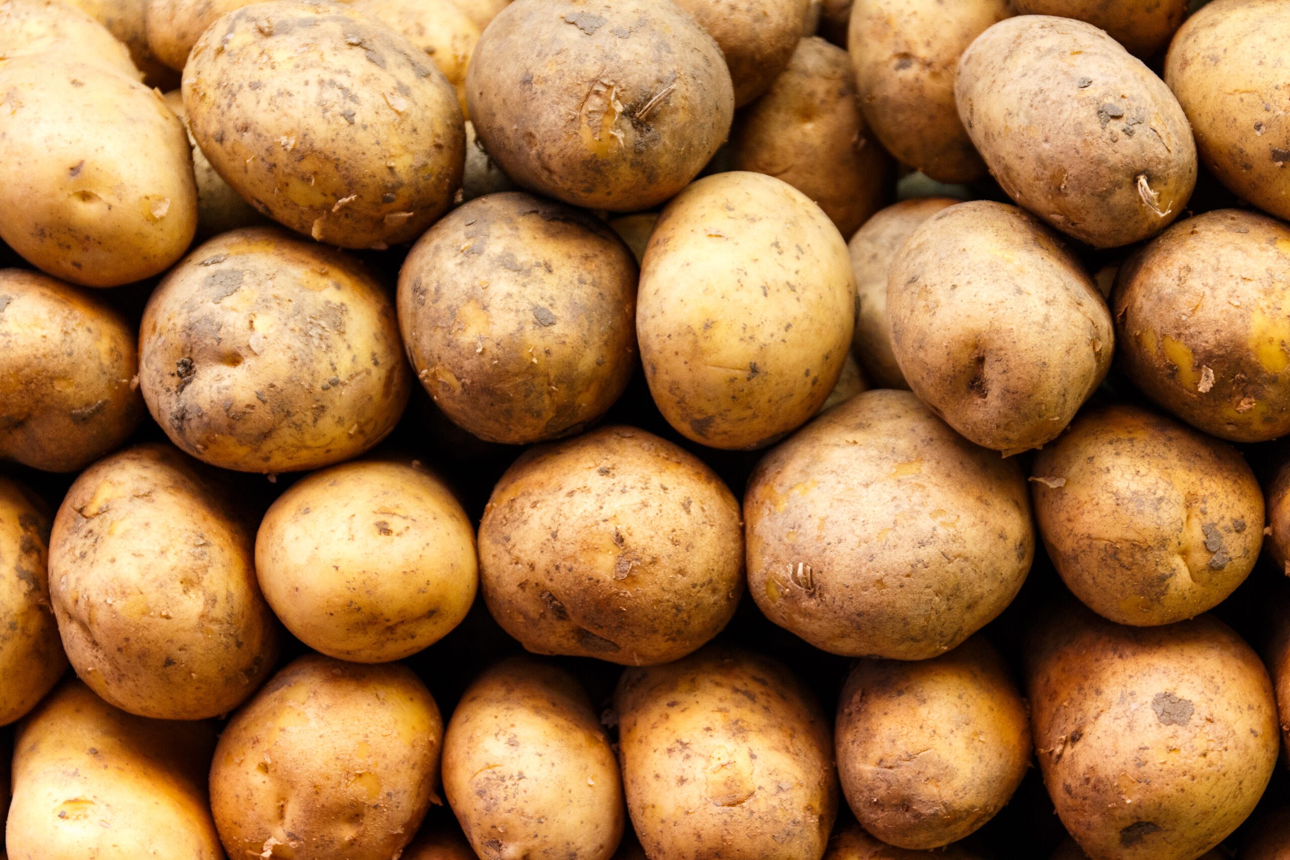 Featured image for “Why Papitas Are the Unsung Heroes of Traditional New Mexican Dishes”