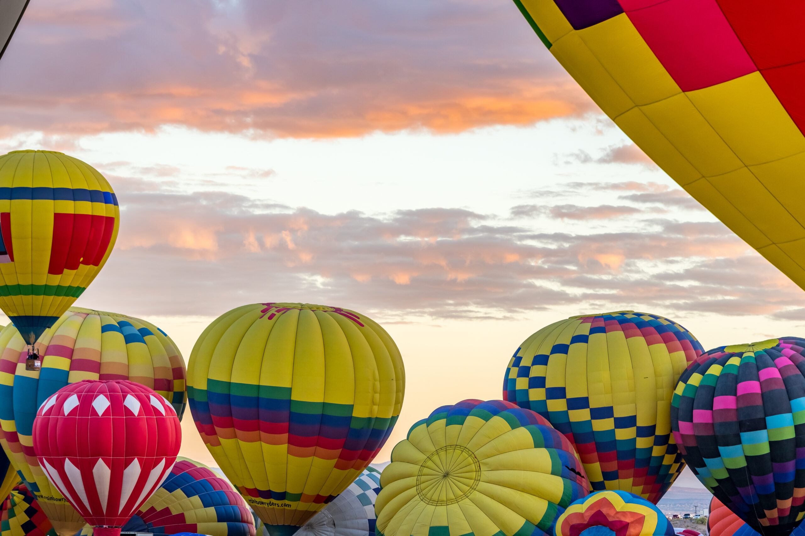 Featured image for “Sadie’s Guide to the Balloon Fiesta”